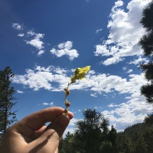 Meet your Posher, Paola